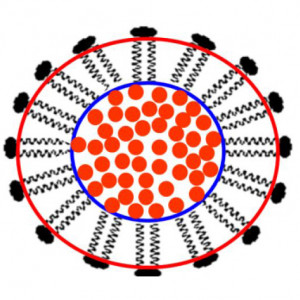 A. Ranganathan et al., Materials Science and Engineering: C 69 (2016) 1318