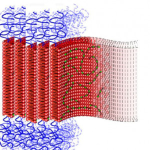 Y. Yan et al., Coordination Chemistry Reviews 254 (2010) 1072