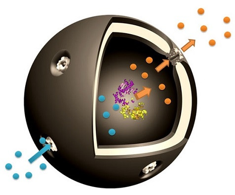 M. Lomora et al.,Chemical Communications 53 (2017) 10148