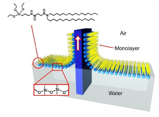 V. Malgras et al., Bulletin of the Chemical Society of Japan 88 (2015) 1171