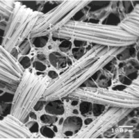 A. Hashemi Doulabi et al., Materials 7(7) (2014) 5327