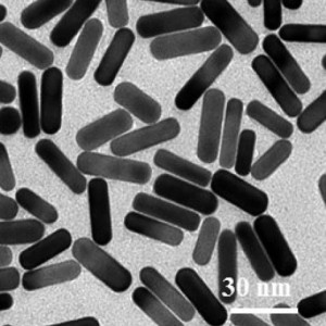 H. Zhu et al., Acta Biomaterialia 50 (2017) 534