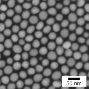 J. Y. Kim et al., Nature Communications 7 (2016) 12911