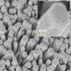 A. Ghosh et al., Journal of Alloys and Compounds 694 (2017) 394