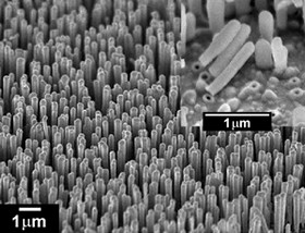 J. Goldberger et al., Nature 422 (2003) 599