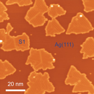 B. Feng et al., Nature Chemistry 8 (2016) 563