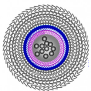 X. Liu et al., ACS Nano 16 (2016) 11385