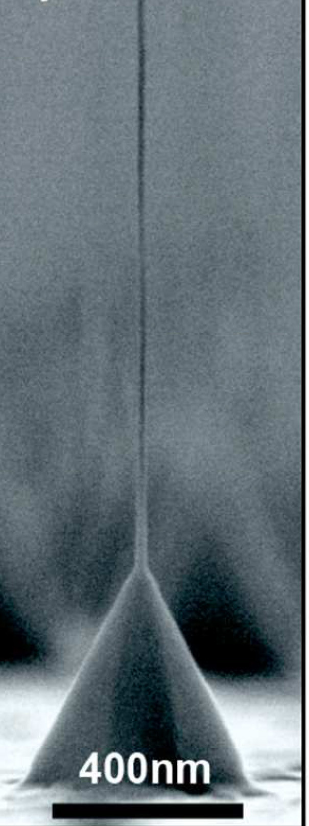 L. Samuelson et al., Nano Lett., 16 (2016) 2774