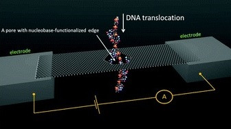 E. Paulechka et al.,  Nanoscale 8 (2016) 1861