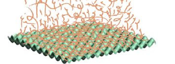 L. Shen et al., Journal of Colloid and Interface Science 494 (2017) 194