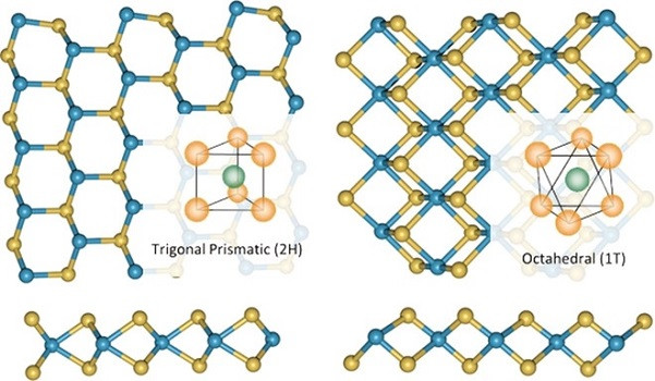 A. Hirsch et al., Angewandte Chemie 57 (2018) 4338