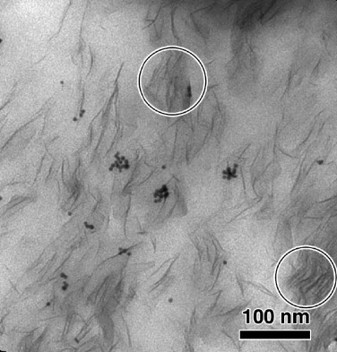 H. Jinnai et al., Polymer 50 (2009) 1067