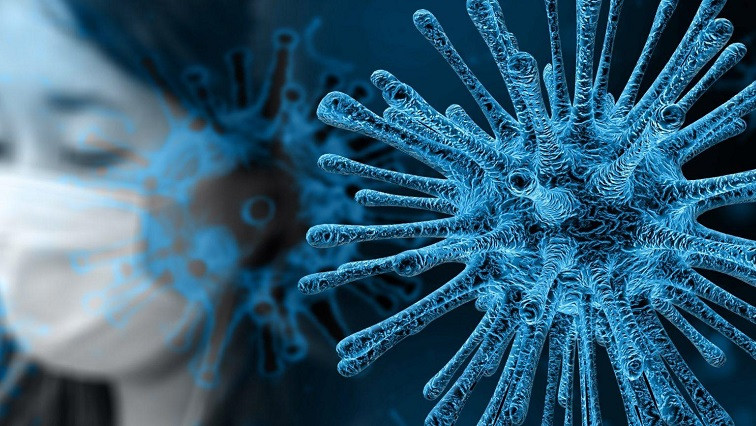 Nanotechnology Startup Develops Quick-response Lateral-flow Test for Coronavirus