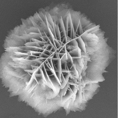 Delivering Medicines with Microscopic Flowers