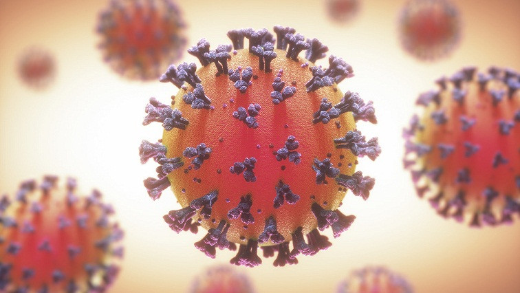 Temperature Fluctuations Affect Coronavirus; Myth or Fact?