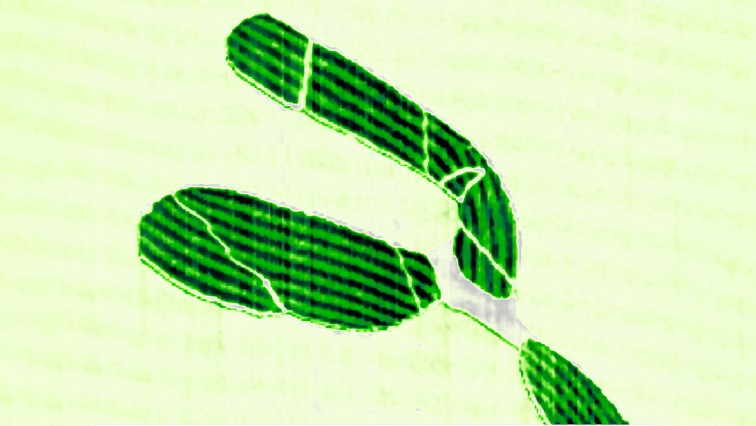 Discovery of New Growth-directed Graphene Stacking Domains May Precede New Era for Quantum Applications