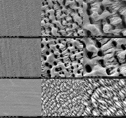 Inspired by the naturally antimicrobial textures of cicada wings and shark skin, micro- and nanoscale textures at the scale of bacterial cells make it difficult for bacteria to attach.