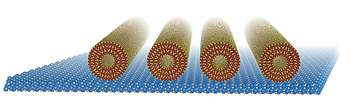 The team’s new synthesis protocol allows for the production of tungsten disulfide nanotubes which point in the same direction. The material they make show the key properties of single nanotubes.