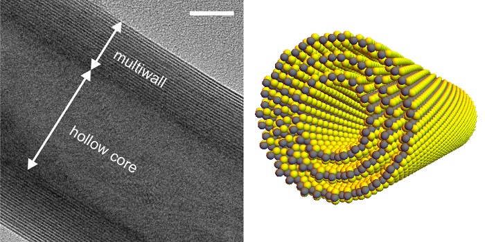 Transmission electron microscopy image of a hollow core nanotube.