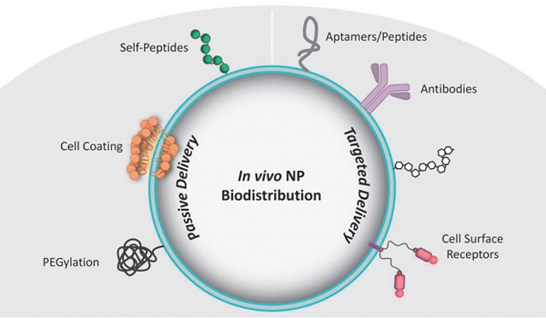 Nanoparticles can be used as coatings to distribute biological applications through passive or targeted delivery.